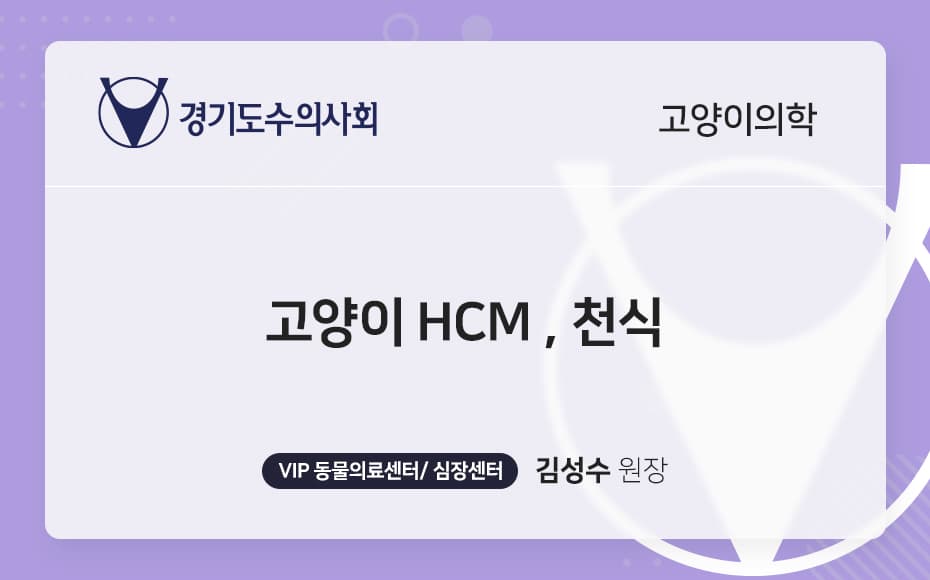 고양이 HCM , 천식