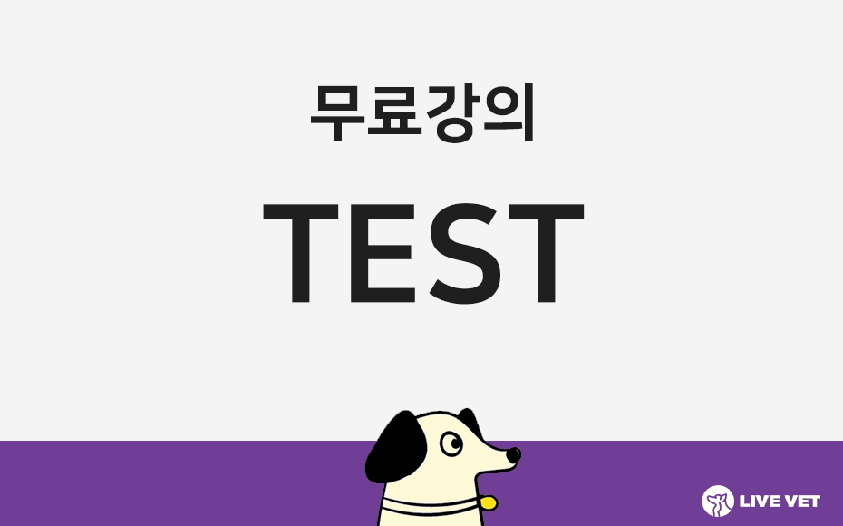[무료] test 영상