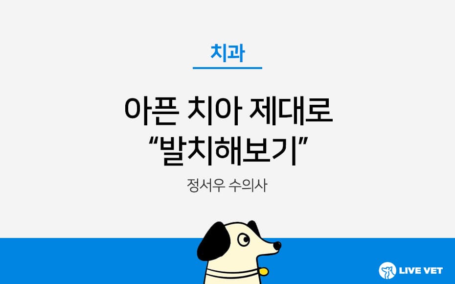 아픈 치아 제대로 발치해보기