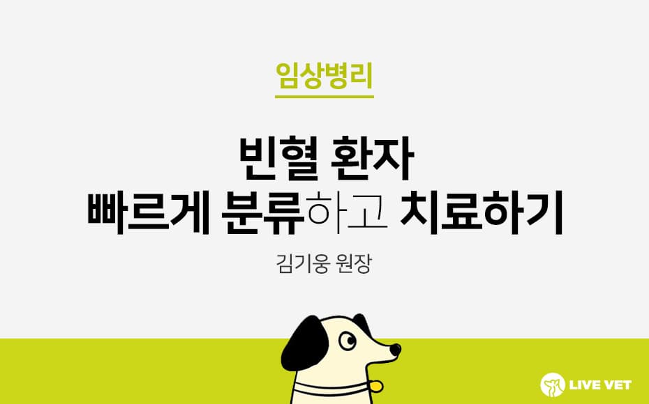 빈혈 환자 빠르게 분류하고 치료하기