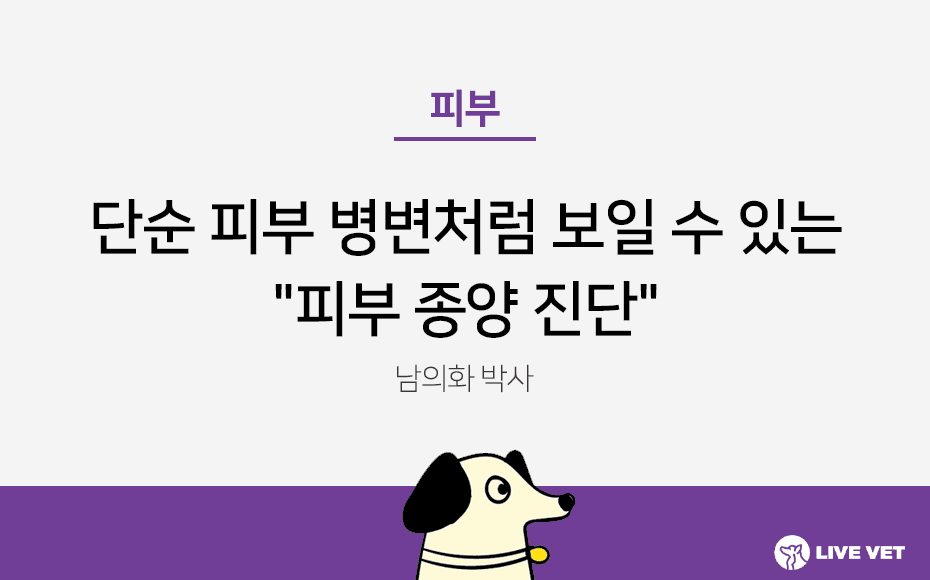 단순 피부 병변처럼 보일 수 있는 "피부 종양 진단"
