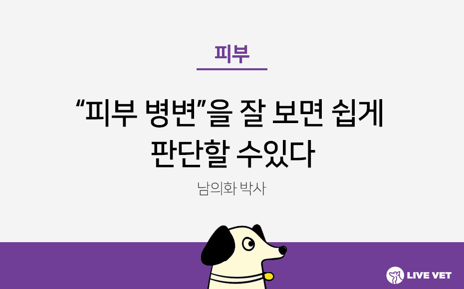 피부 병변을 잘 보면 쉽게 판단할 수 있다