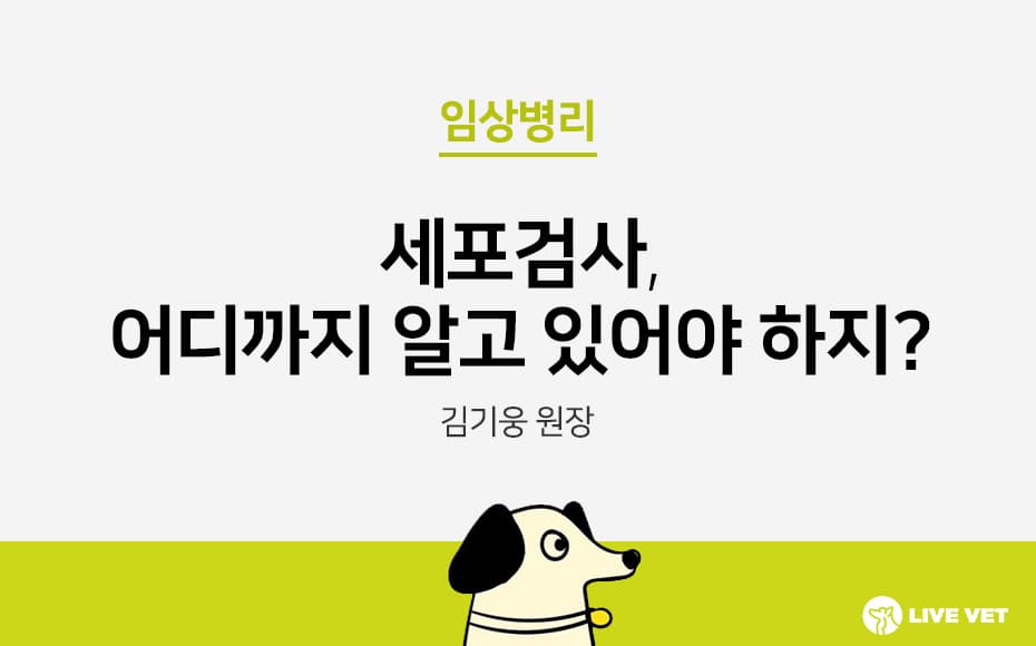 세포검사 어디까지 알고 있어야 하지?
