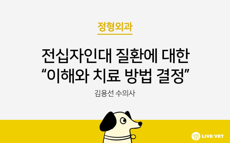 전십자인대 질환에 대한 이해와 치료 방법 결정