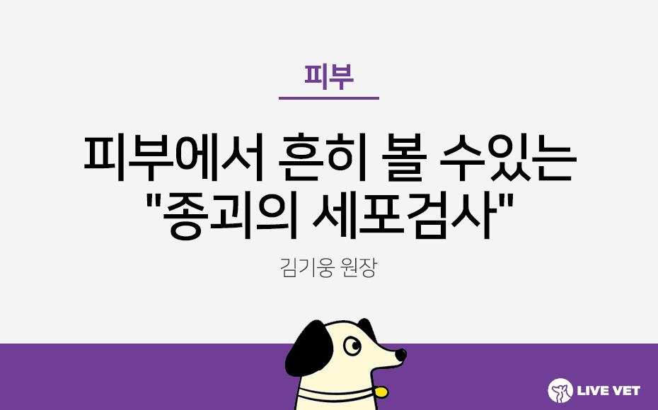 피부에서 흔히 볼 수 있는 "종괴의 세포검사"