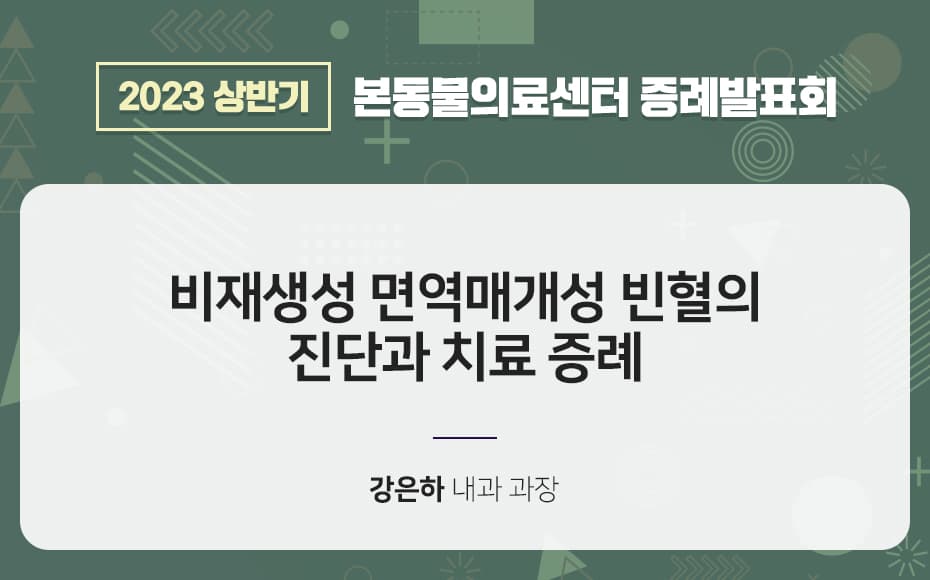 비재생성 면역매개성 빈혈의 진단과 치료 증례