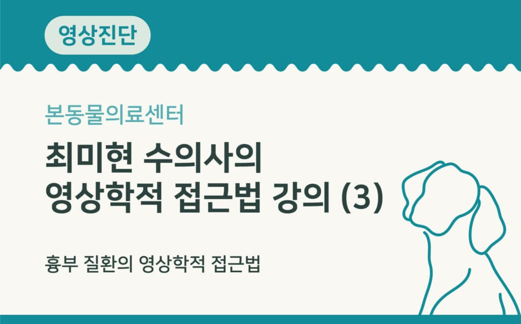 흉부 질환의 영상학적 접근법