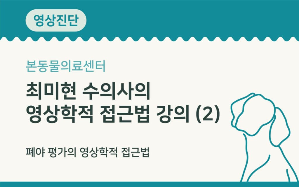 폐야 평가의 영상학적 접근법