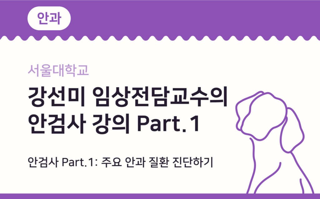안검사 Part.1: 주요 안과 질환 진단하기