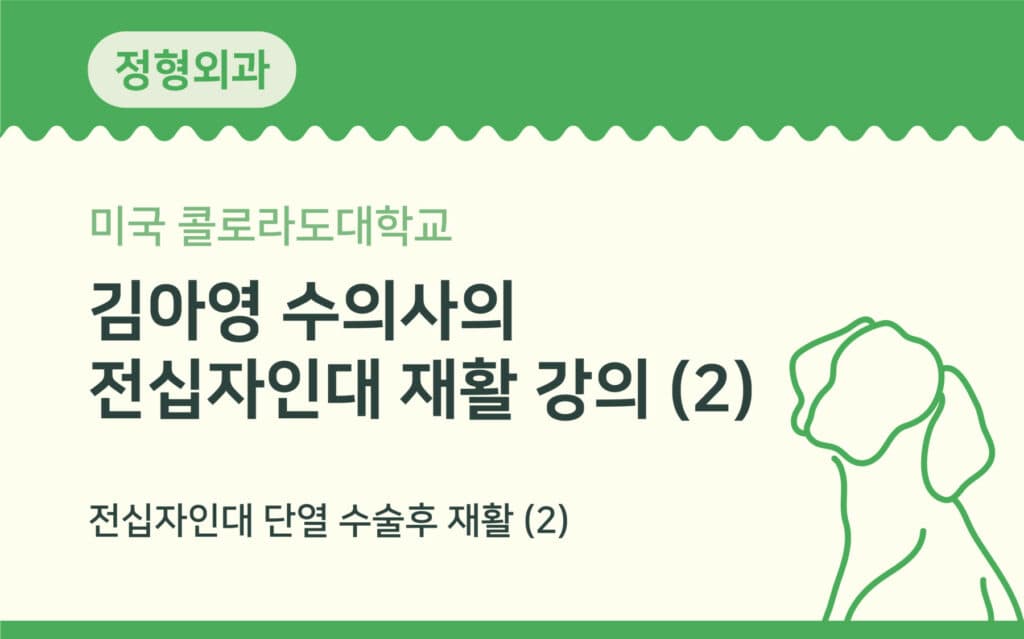 전십자인대 단열 수술 후 재활 (2)