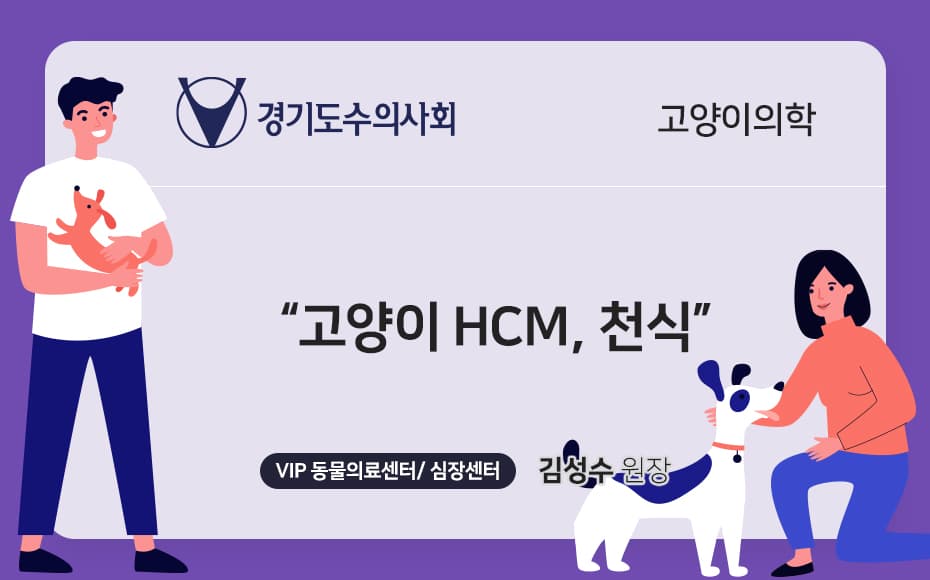 고양이 HCM, 천식