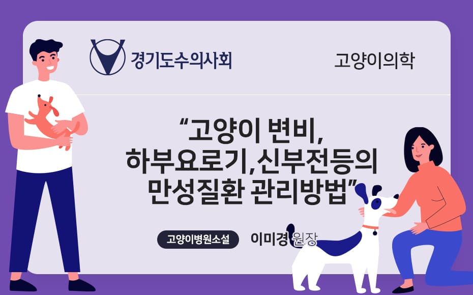 고양이 변비, 하부요로기, 신부전등의 만성질환 관리방법