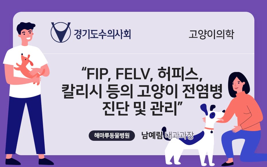 FIP, FeLV, 허피스,칼리시 등의 고양이 전염병 진단 및 관리