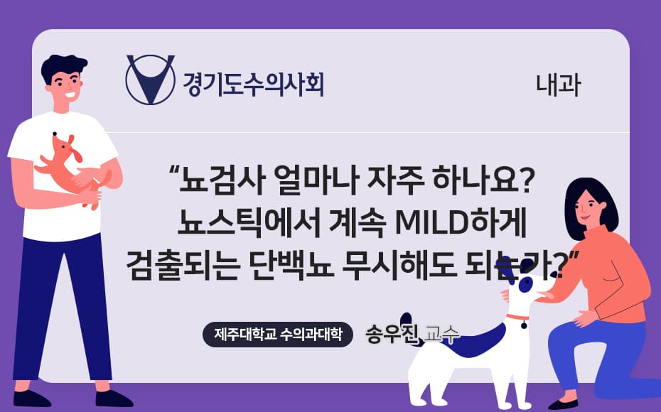 뇨검사 얼마나 자주 하나요? 뇨스틱에서 계속 mild하게 검출되는 단백뇨 무시해도 되는가?