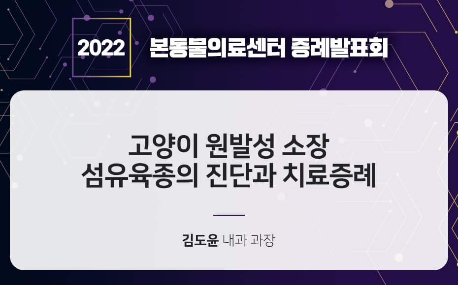 고양이 원발성 소장 섬유육종의 진단과 치료증례
