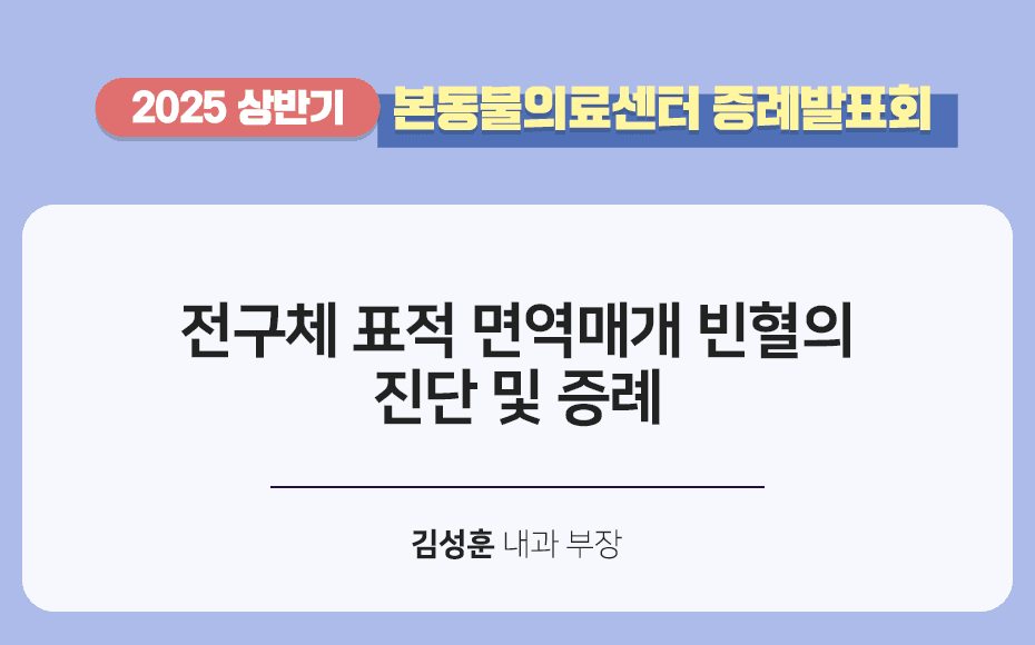 전구체 표적 면역매개 빈혈의 진단 및 증례